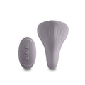 Vibrator NS Novelties Desire Grey Purple