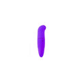 G-Spot Vibrator Toyz4lovers Purple