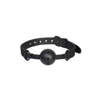 Solid Ball Gag Dream Toys Blaze